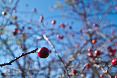 Прикрепленное изображение: img_0001_01.jpg